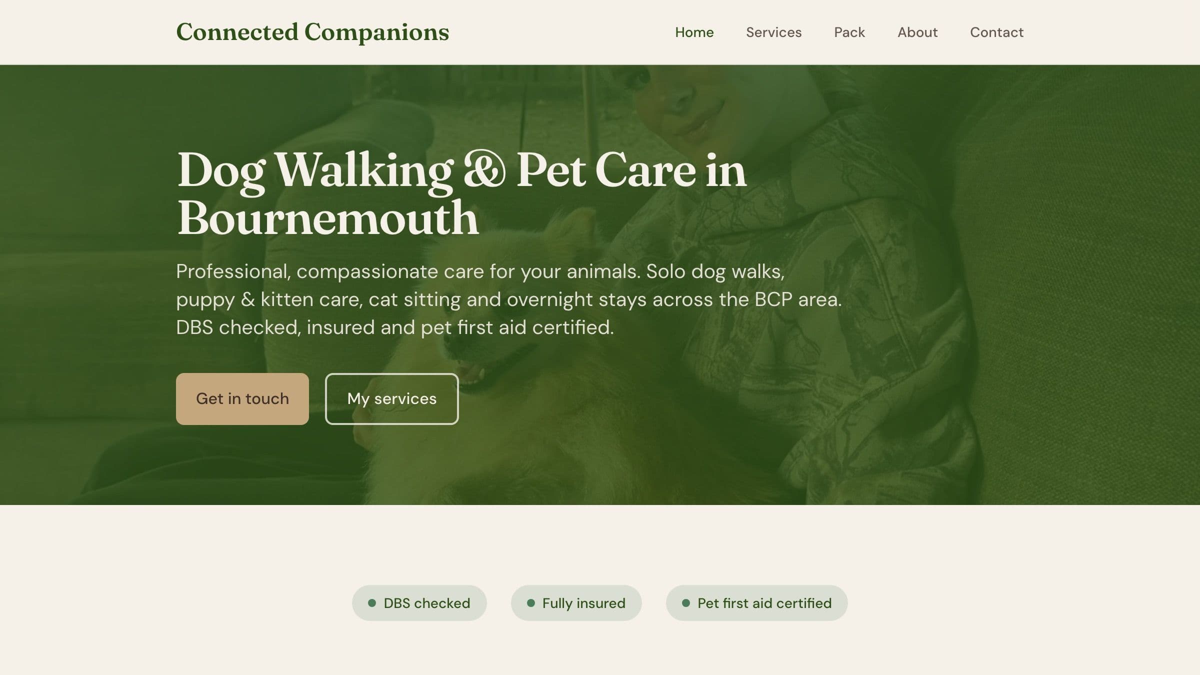 Connected Companions homepage