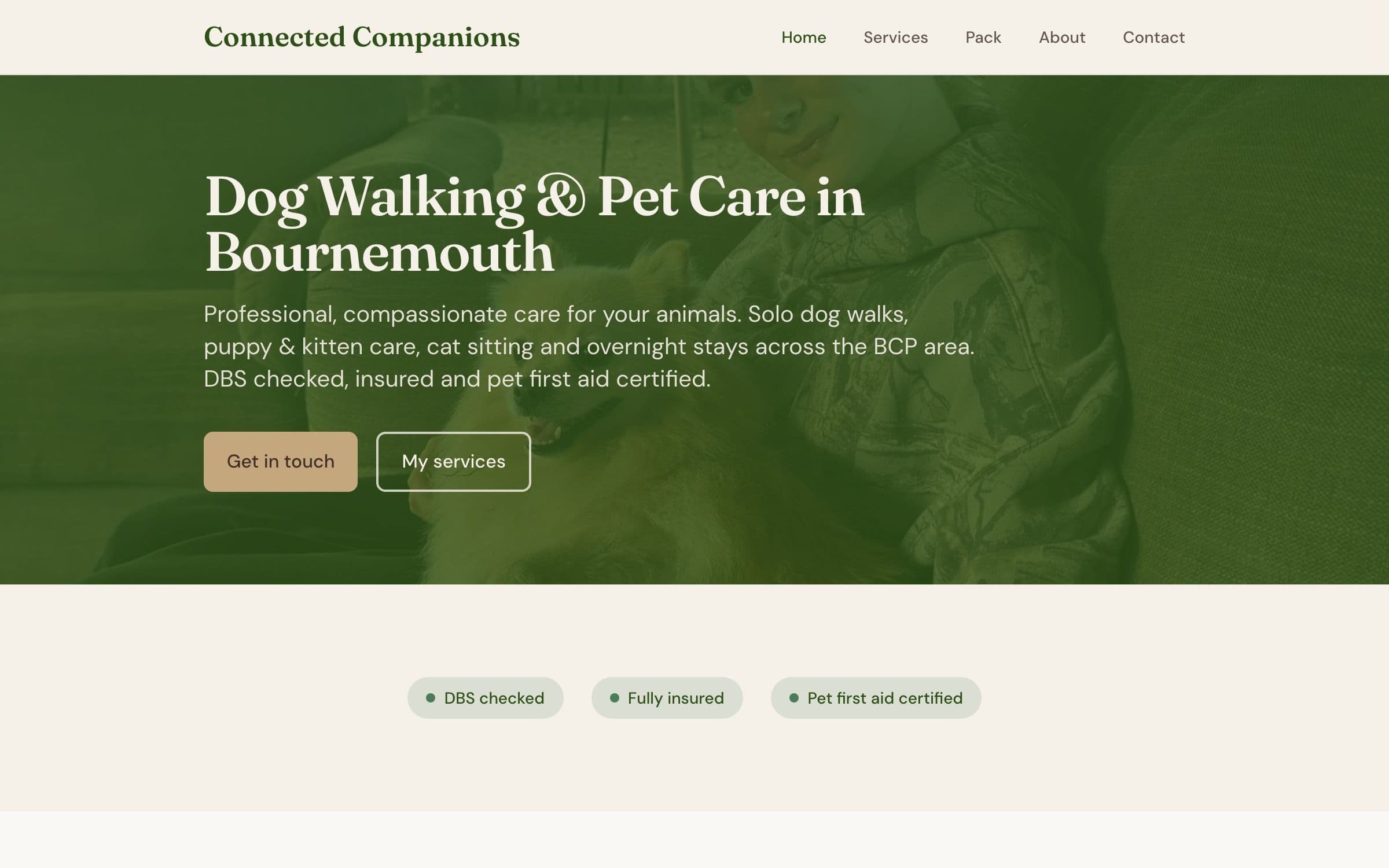 Connected Companions homepage, full page view